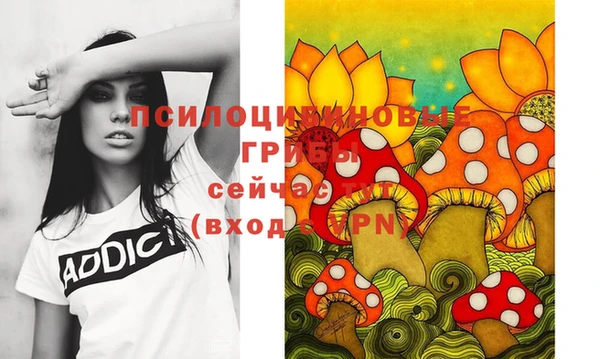 2c-b Бронницы
