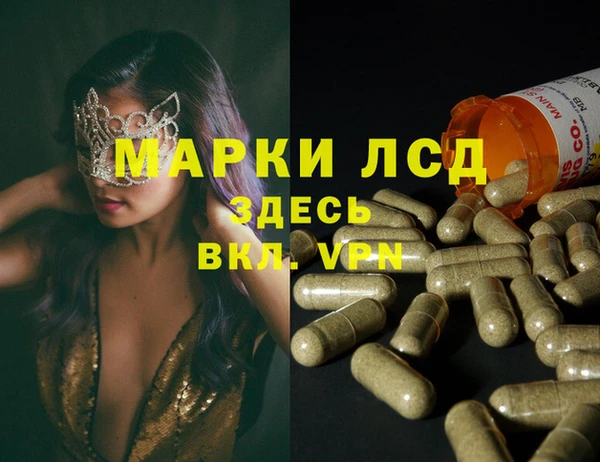 амф Бородино