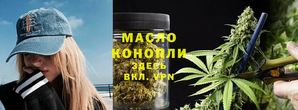 амф Бородино
