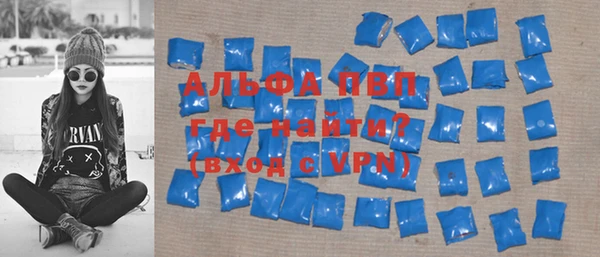 амф Бородино