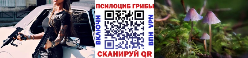 Псилоцибиновые грибы Psilocybine cubensis Новосокольники