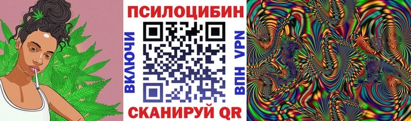 дарк нет состав  Новосокольники  Галлюциногенные грибы Magic Shrooms 